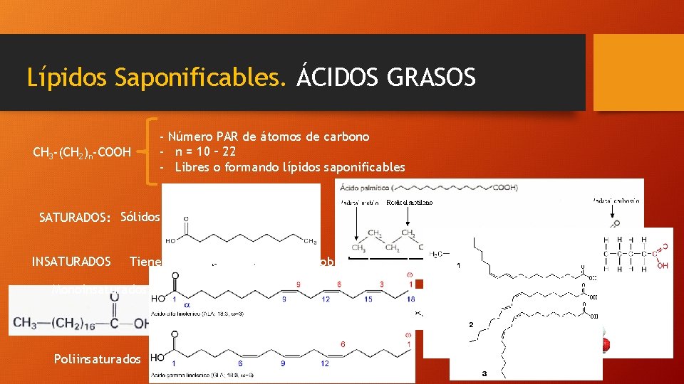 Lípidos Saponificables. ÁCIDOS GRASOS CH 3 -(CH 2)n-COOH - Número PAR de átomos de