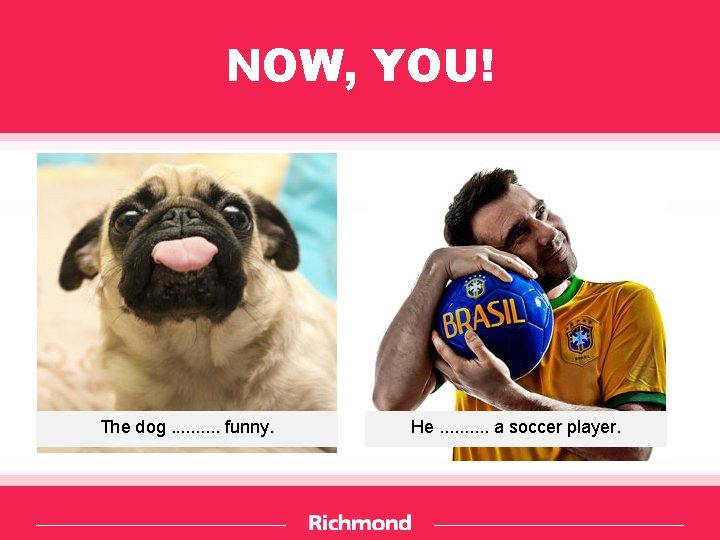 NOW, YOU! The dog. . funny. He. . a soccer player. 