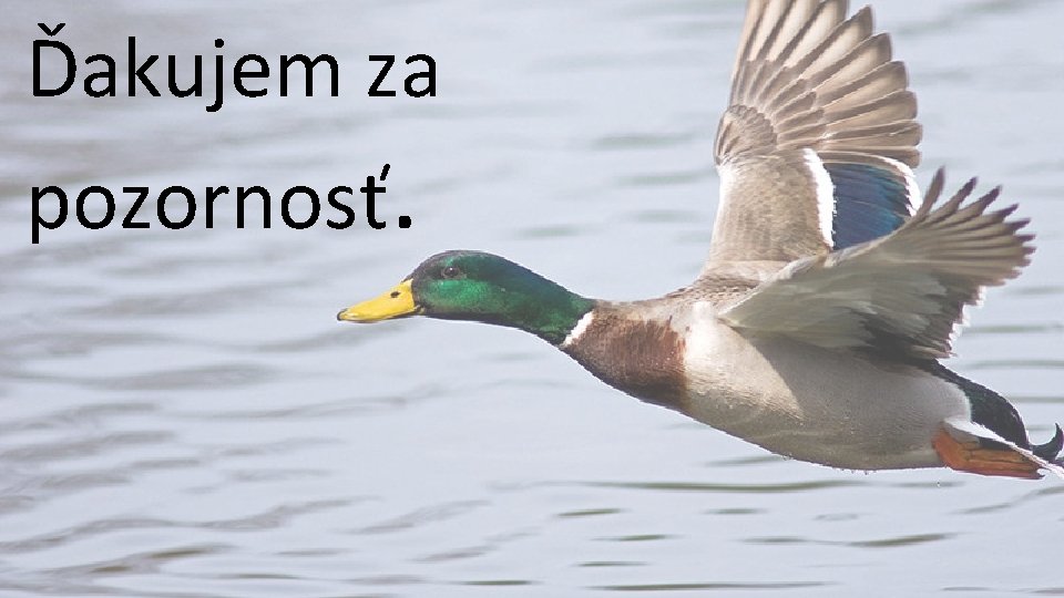 Ďakujem za pozornosť. 