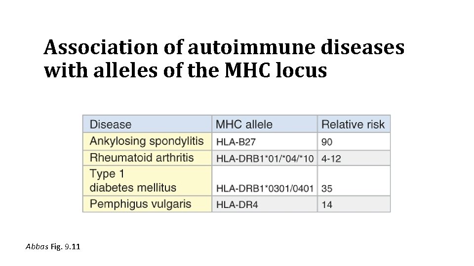 Association of autoimmune diseases with alleles of the MHC locus Abbas Fig. 9. 11