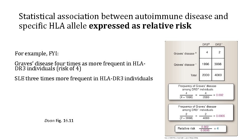 Statistical association between autoimmune disease and specific HLA allele expressed as relative risk For