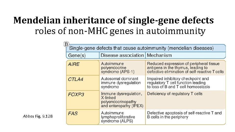 Mendelian inheritance of single-gene defects roles of non-MHC genes in autoimmunity Abbas Fig. 9.