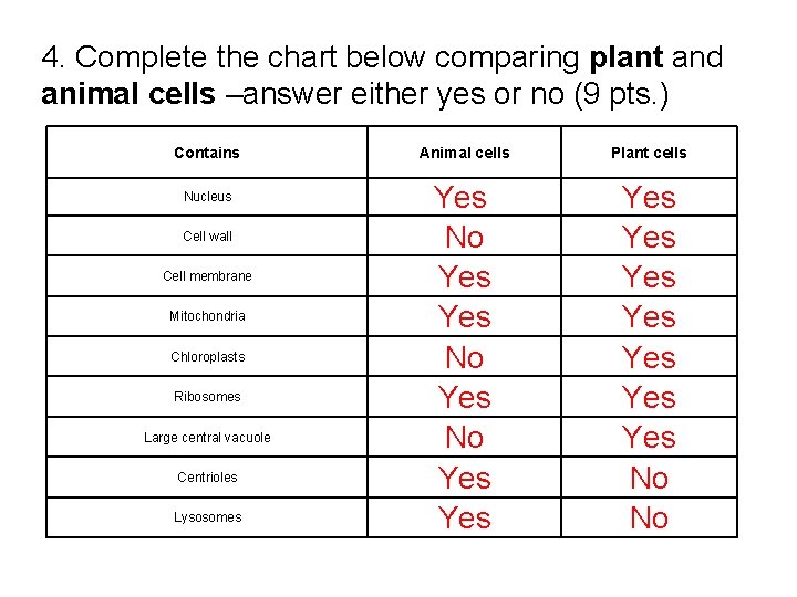 4. Complete the chart below comparing plant and animal cells –answer either yes or