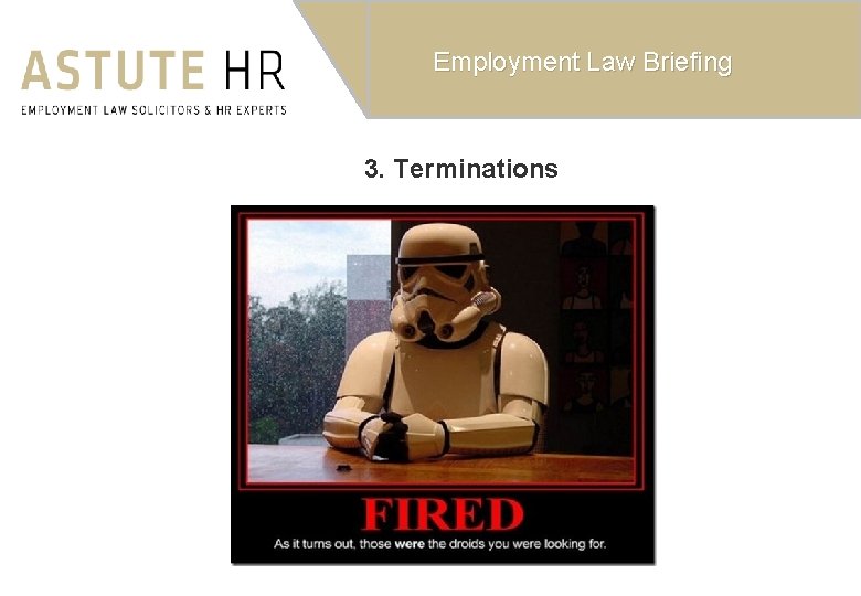 Employment Law Briefing 3. Terminations 