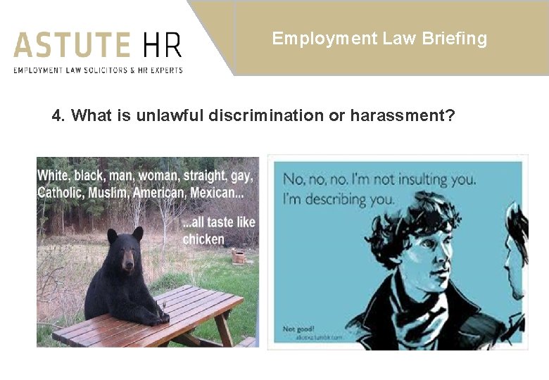 Employment Law Briefing 4. What is unlawful discrimination or harassment? 