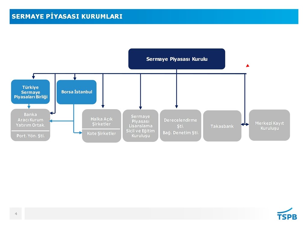 SERMAYE PİYASASI KURUMLARI 4 