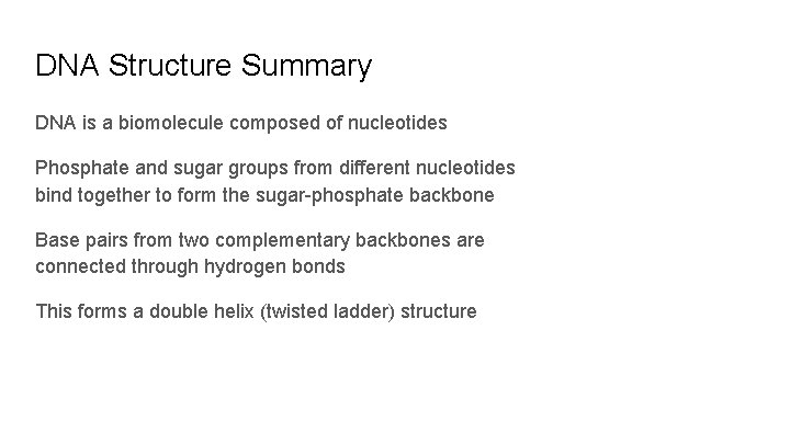 DNA Structure Summary DNA is a biomolecule composed of nucleotides Phosphate and sugar groups