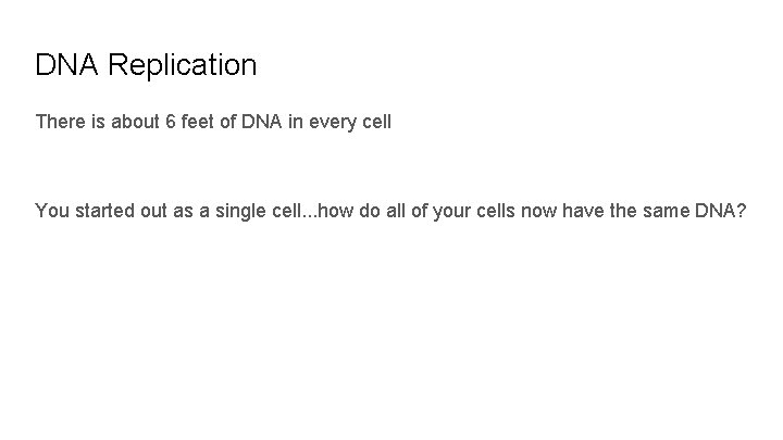 DNA Replication There is about 6 feet of DNA in every cell You started