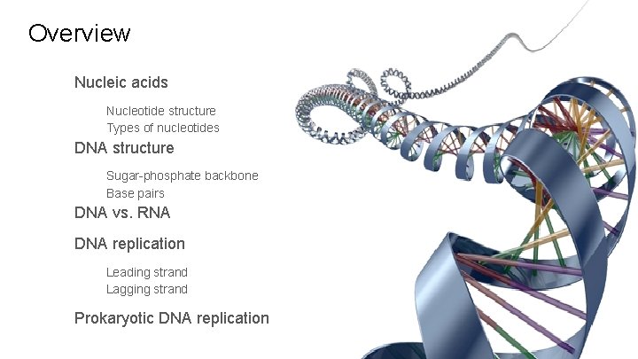 Overview Nucleic acids Nucleotide structure Types of nucleotides DNA structure Sugar-phosphate backbone Base pairs