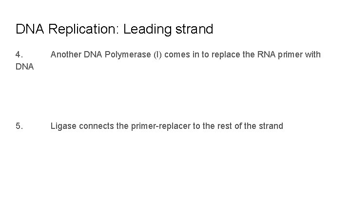 DNA Replication: Leading strand 4. DNA Another DNA Polymerase (I) comes in to replace