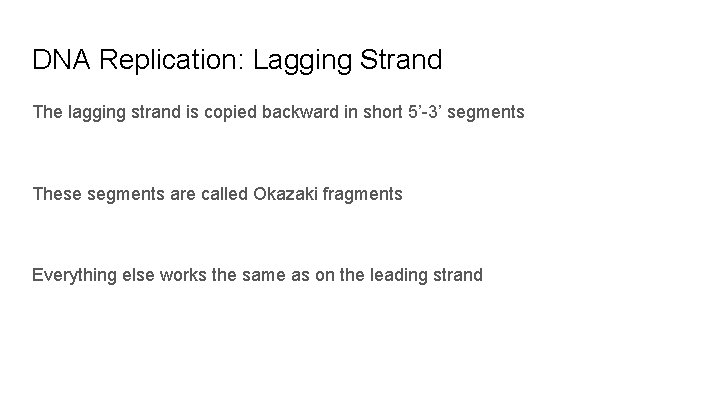 DNA Replication: Lagging Strand The lagging strand is copied backward in short 5’-3’ segments