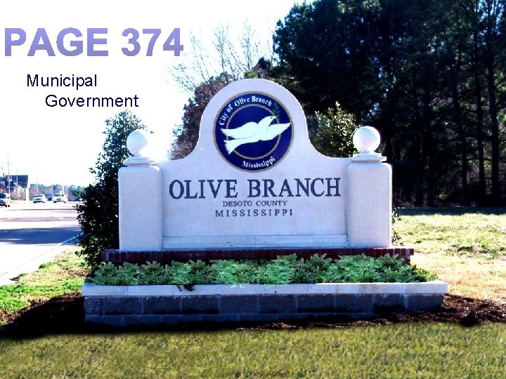 Municipal Government 