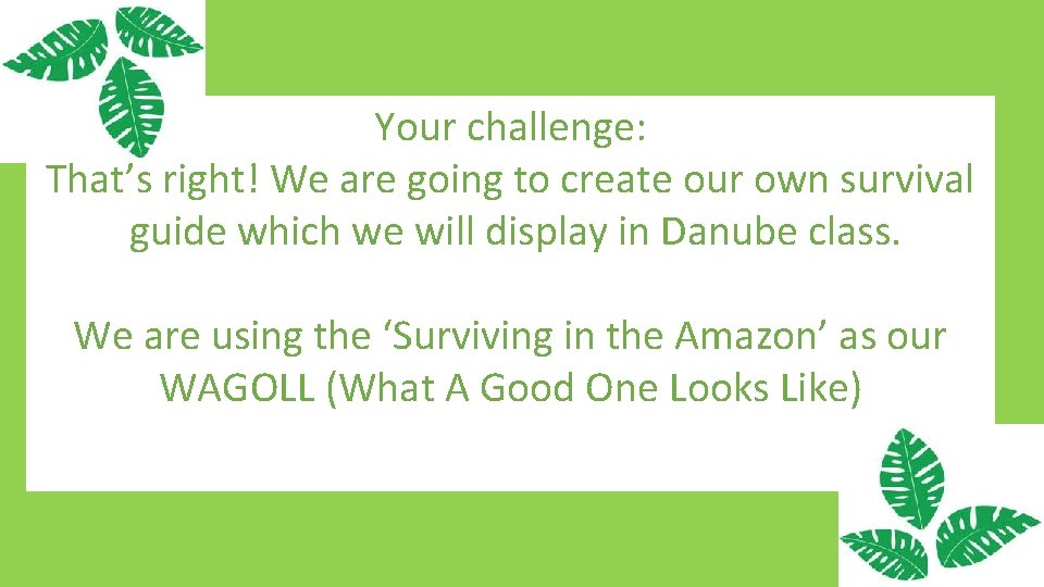 Your challenge: That’s right! We are going to create our own survival guide which