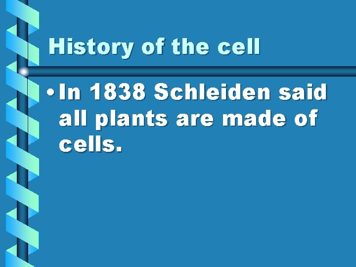 History of the cell • In 1838 Schleiden said all plants are made of