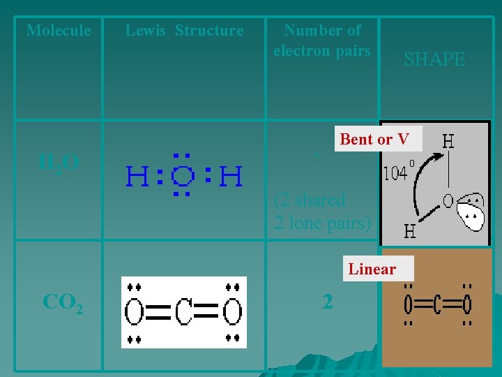 Molecule Lewis Structure Number of electron pairs SHAPE Bent or V H 2 O