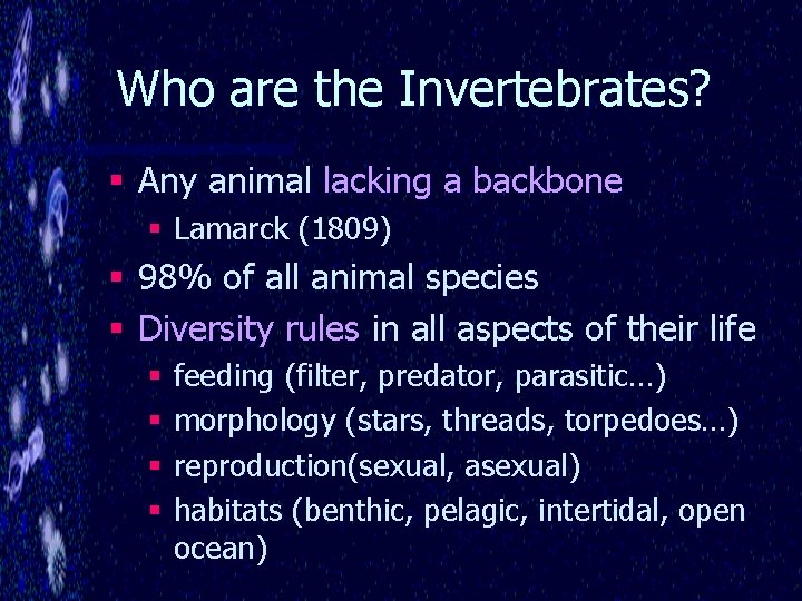 Who are the Invertebrates? § Any animal lacking a backbone § Lamarck (1809) §