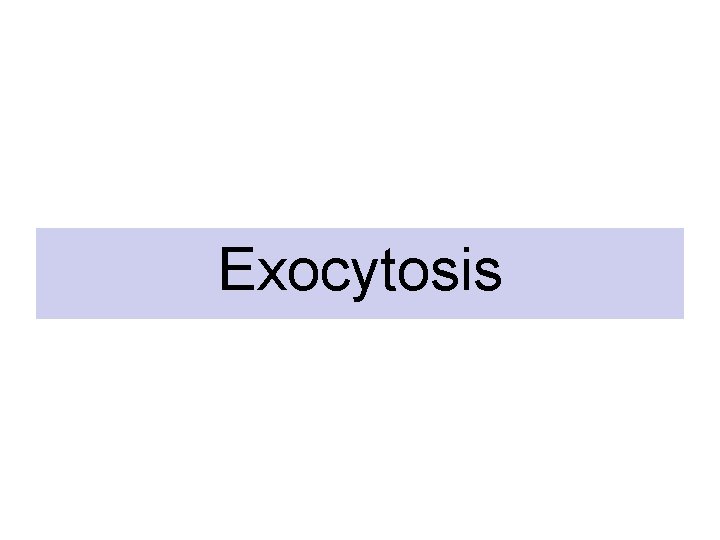 Exocytosis Exocytosis
