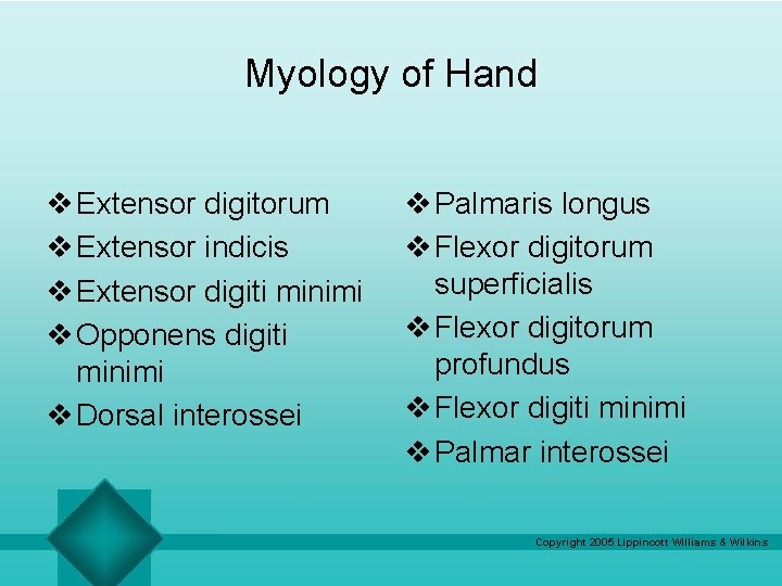 Myology of Hand v Extensor digitorum v Extensor indicis v Extensor digiti minimi v Myology of Hand v Extensor digitorum v Extensor indicis v Extensor digiti minimi v