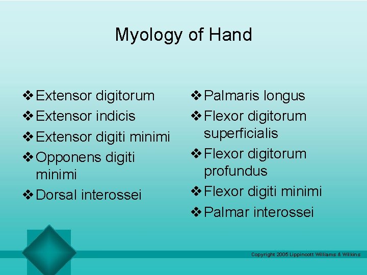 Myology of Hand v Extensor digitorum v Extensor indicis v Extensor digiti minimi v