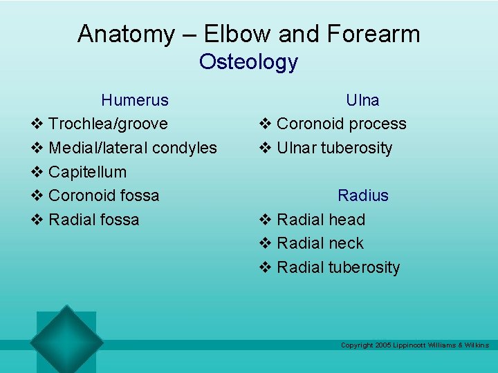 Anatomy – Elbow and Forearm Osteology Humerus v Trochlea/groove v Medial/lateral condyles v Capitellum Anatomy – Elbow and Forearm Osteology Humerus v Trochlea/groove v Medial/lateral condyles v Capitellum