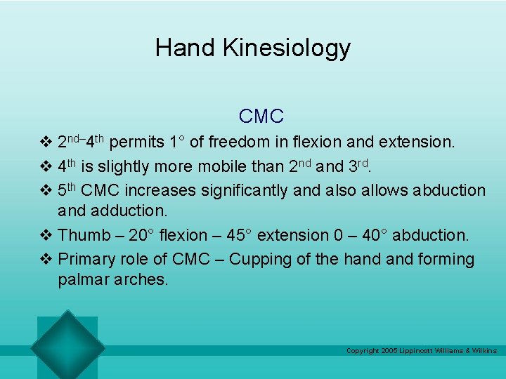 Hand Kinesiology CMC v 2 nd– 4 th permits 1° of freedom in flexion