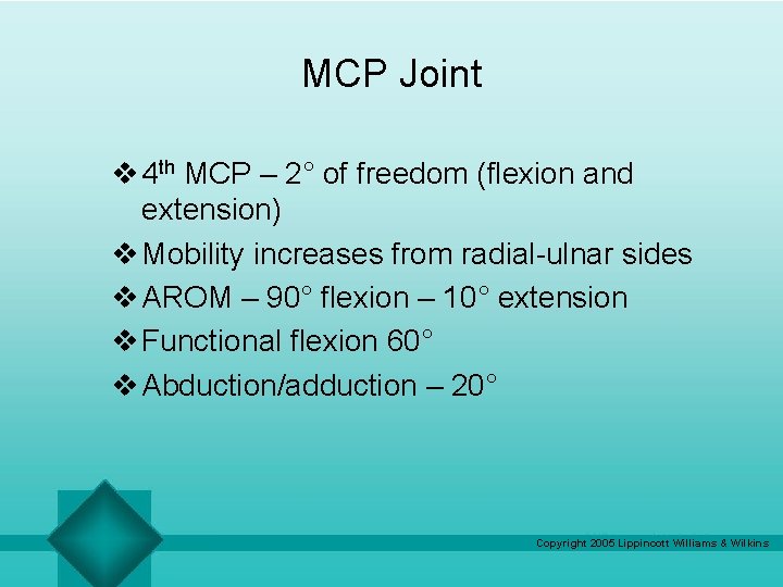 MCP Joint v 4 th MCP – 2° of freedom (flexion and extension) v