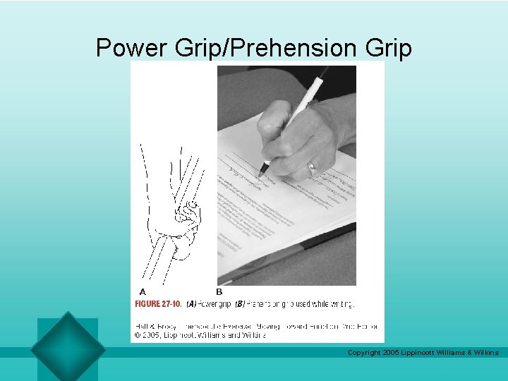 Power Grip/Prehension Grip Copyright 2005 Lippincott Williams & Wilkins 