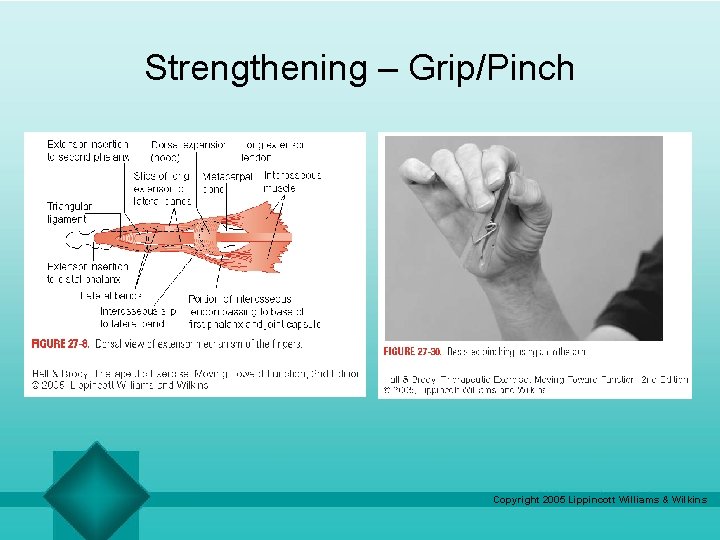 Strengthening – Grip/Pinch Copyright 2005 Lippincott Williams & Wilkins Strengthening – Grip/Pinch Copyright 2005 Lippincott Williams & Wilkins