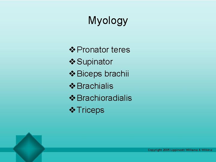 Myology v Pronator teres v Supinator v Biceps brachii v Brachialis v Brachioradialis v