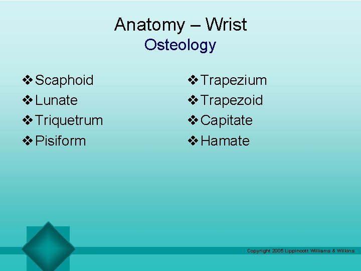 Anatomy – Wrist Osteology v Scaphoid v Lunate v Triquetrum v Pisiform v Trapezium
