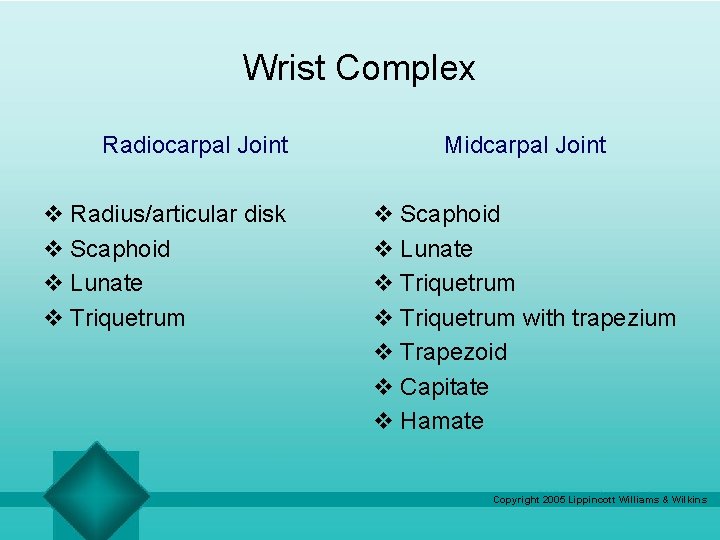 Wrist Complex Radiocarpal Joint v Radius/articular disk v Scaphoid v Lunate v Triquetrum Midcarpal