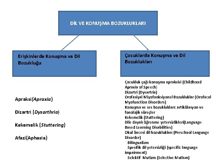 DİL VE KONUŞMA BOZUKLUKLARI Erişkinlerde Konuşma ve Dil Bozukluğu Apraksi(Apraxia) Dizartri (Dysarthria) Kekemelik (Stuttering)