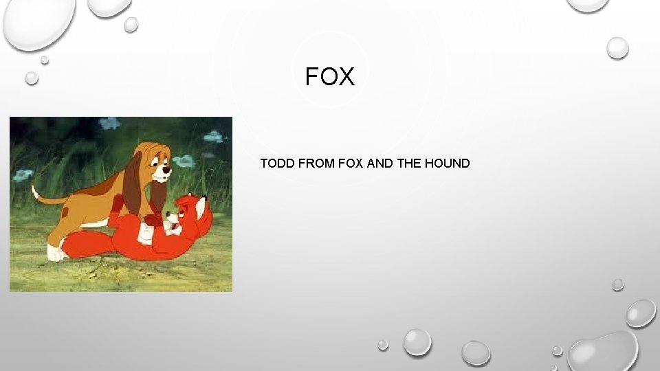 FOX TODD FROM FOX AND THE HOUND 
