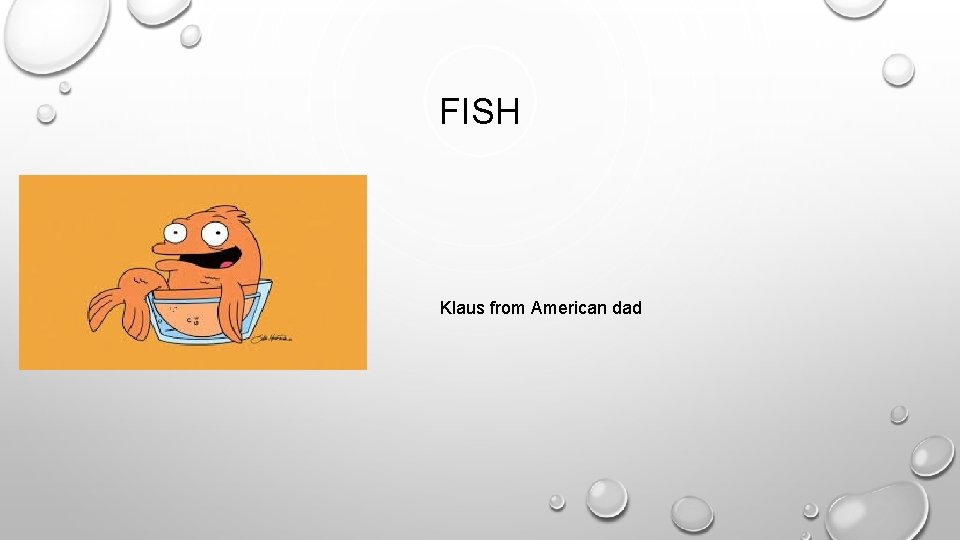 FISH Klaus from American dad 