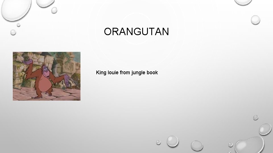 ORANGUTAN King louie from jungle book 