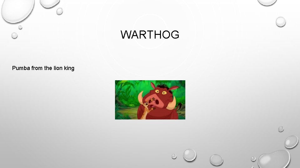 WARTHOG Pumba from the lion king 