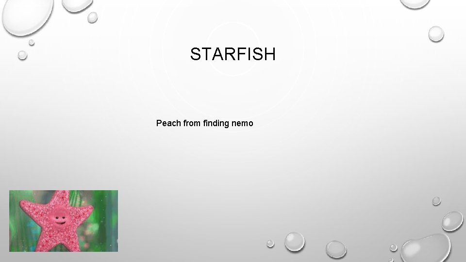 STARFISH Peach from finding nemo 