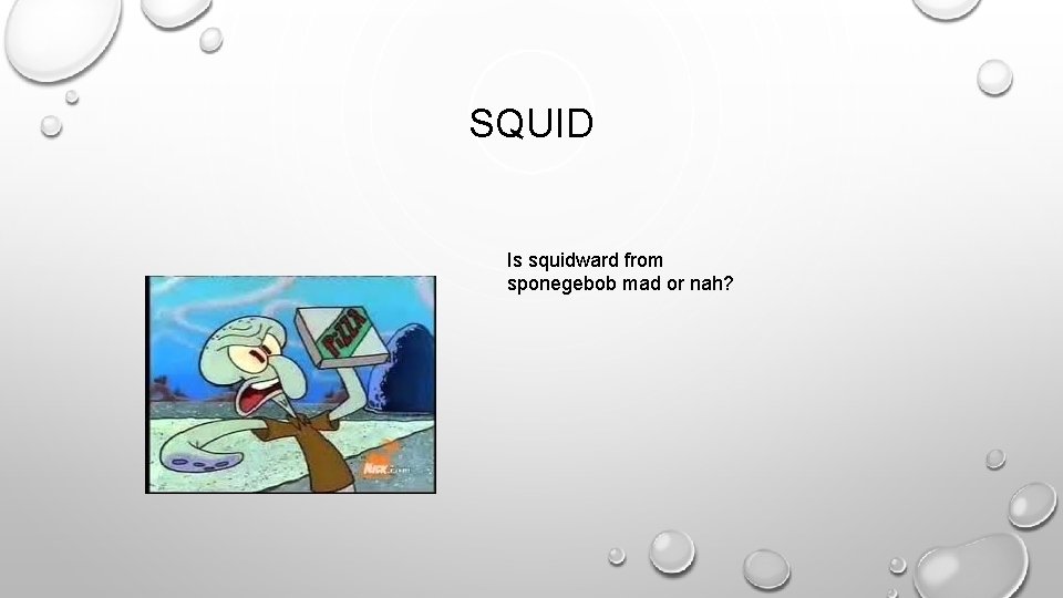 SQUID Is squidward from sponegebob mad or nah? 