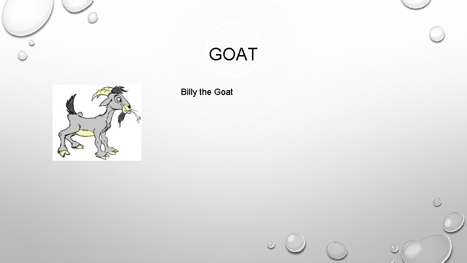 GOAT Billy the Goat 