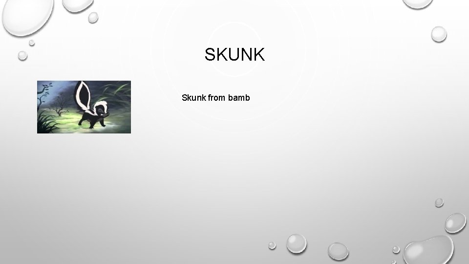 SKUNK Skunk from bamb 