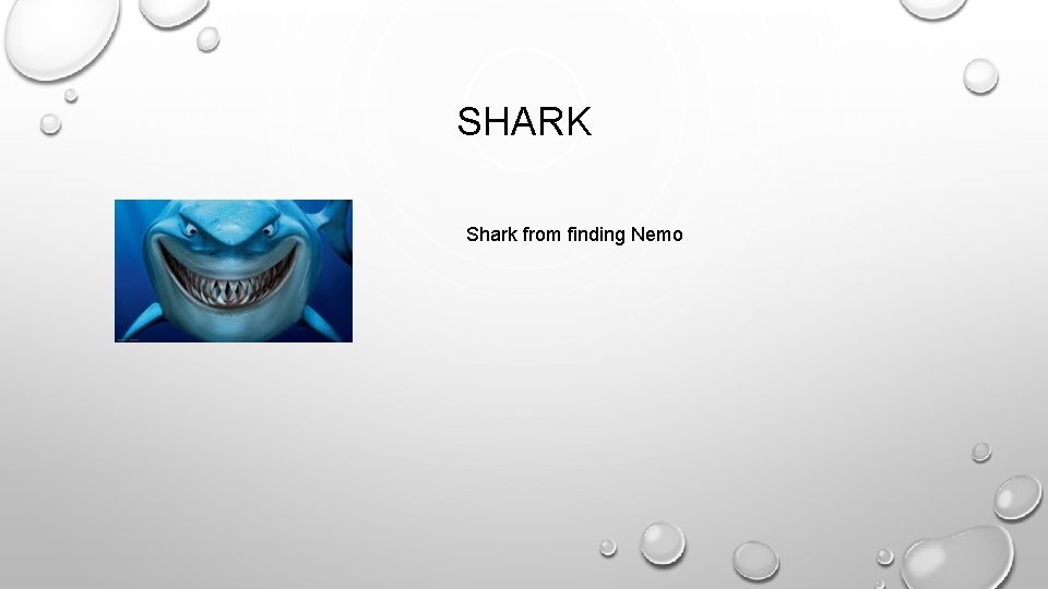 SHARK Shark from finding Nemo 