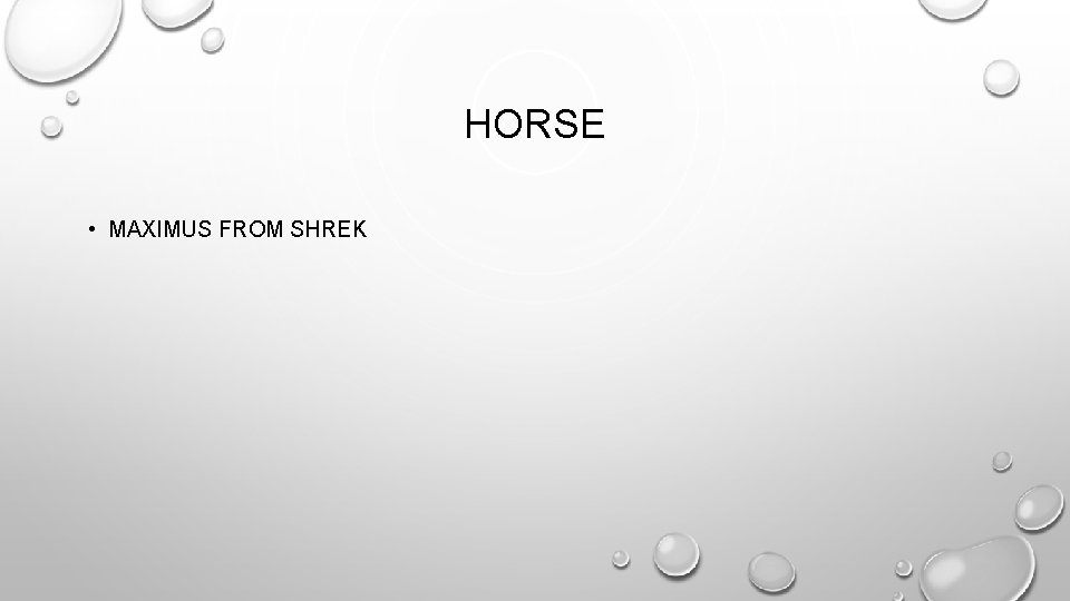 HORSE • MAXIMUS FROM SHREK 