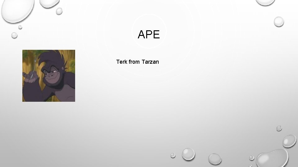 APE Terk from Tarzan 