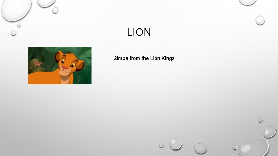 LION Simba from the Lion Kings 