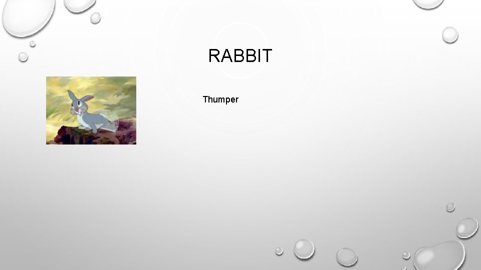 RABBIT Thumper 