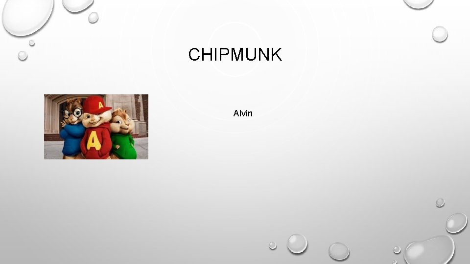 CHIPMUNK Alvin 