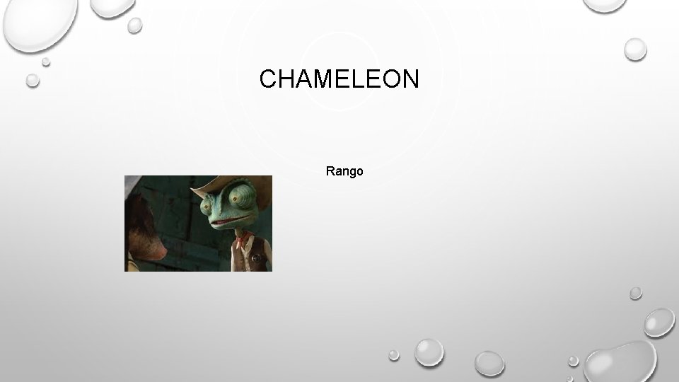 CHAMELEON Rango 