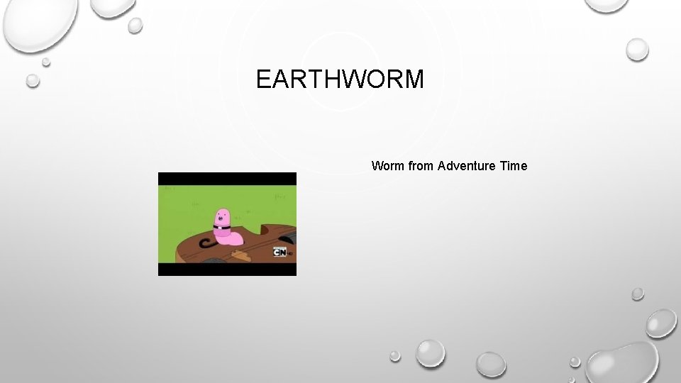 EARTHWORM Worm from Adventure Time 