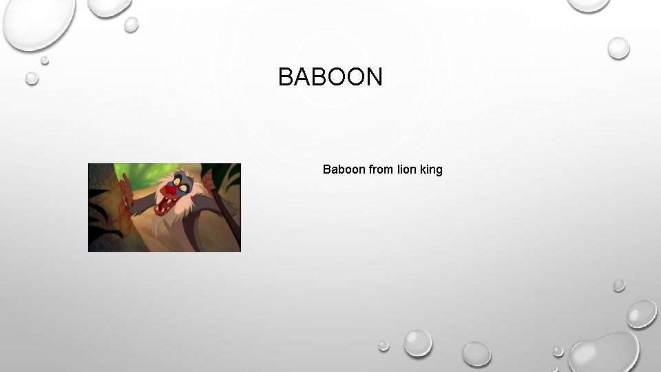 BABOON Baboon from lion king 