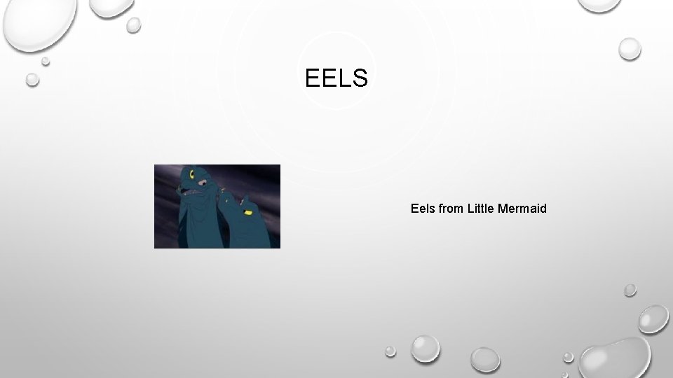 EELS Eels from Little Mermaid 